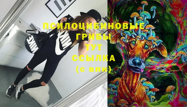 кокс Алзамай