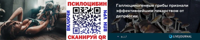 Псилоцибиновые грибы ЛСД  Удомля 