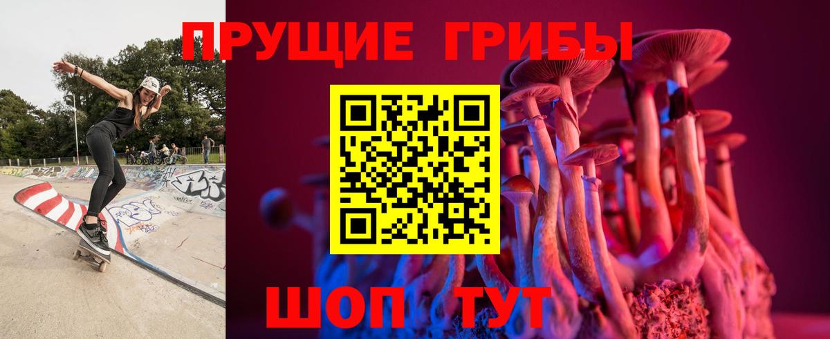 Псилоцибиновые грибы ЛСД Удомля