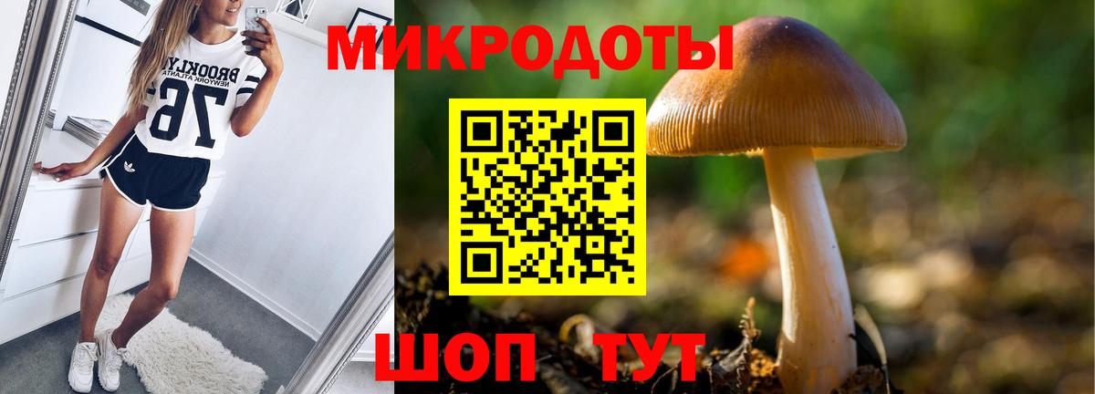 Псилоцибиновые грибы Cubensis  Вход с VPN  Удомля 
